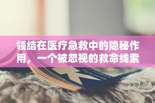 领结在医疗急救中的隐秘作用，一个被忽视的救命线索？