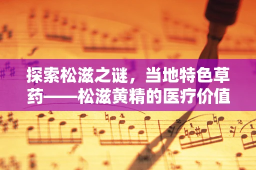 探索松滋之谜，当地特色草药——松滋黄精的医疗价值与应用