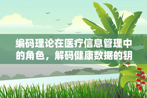 编码理论在医疗信息管理中的角色，解码健康数据的钥匙？