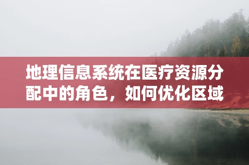 地理信息系统在医疗资源分配中的角色，如何优化区域医疗服务？