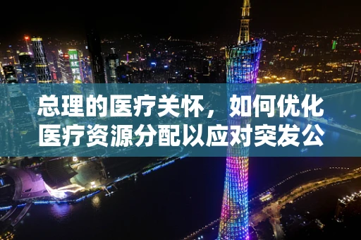 总理的医疗关怀，如何优化医疗资源分配以应对突发公共卫生事件？