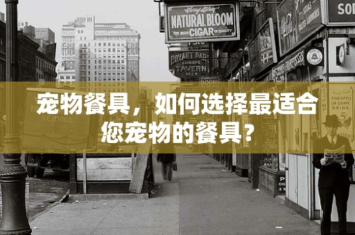宠物餐具，如何选择最适合您宠物的餐具？