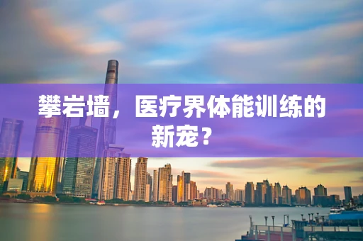 攀岩墙，医疗界体能训练的新宠？