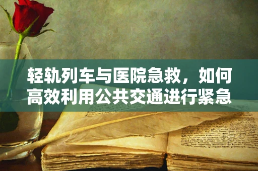 轻轨列车与医院急救，如何高效利用公共交通进行紧急转运？