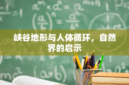 峡谷地形与人体循环，自然界的启示