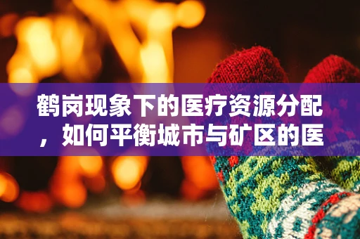 鹤岗现象下的医疗资源分配，如何平衡城市与矿区的医疗均衡？