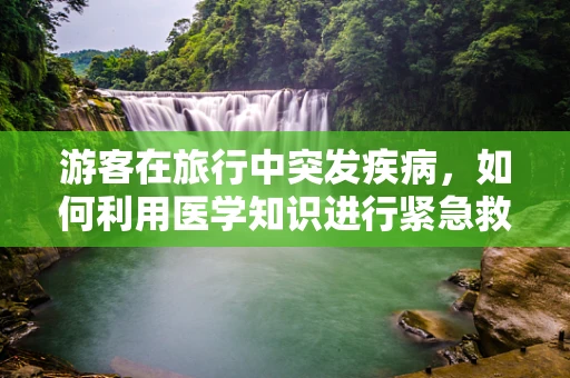 游客在旅行中突发疾病，如何利用医学知识进行紧急救助？