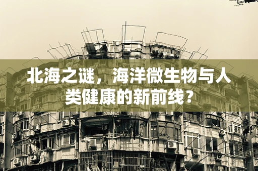 北海之谜，海洋微生物与人类健康的新前线？